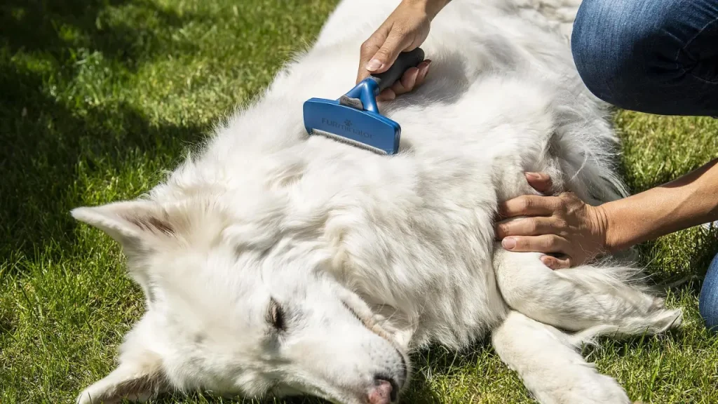 What Is Deshedding Treatment for Dogs