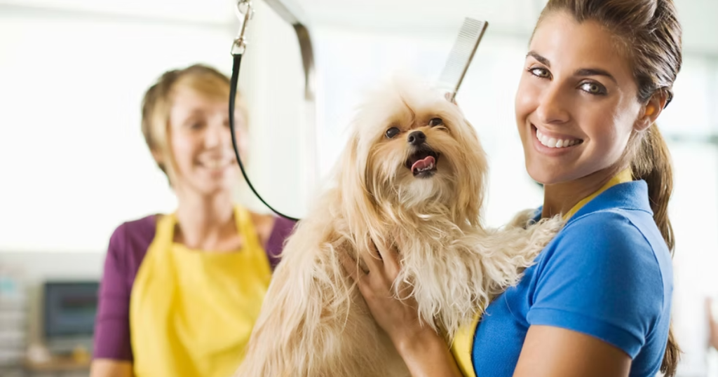 How To Prepare Your Dog for a First Grooming